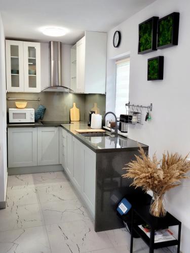 Cisza i Spokój Pieniny