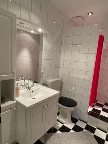 a bathroom with a white sink and a toilet at Ferienwohnung Zeitlos in Bad Bentheim