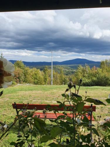 a red bench sitting in a field with a view at Holiday Home Modruš in Modruš