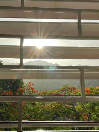 a view from a window with the sun shining through at Neita's Nest in Kingston