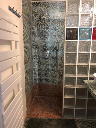 bagno con doccia e parete in vetro di Charmant appartement en rez de villa à Vence a Vence