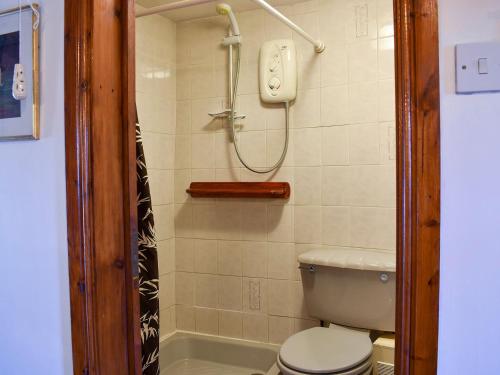a bathroom with a toilet and a shower at Robsons Cottage in Alston