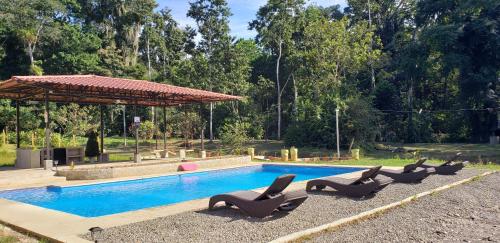 a swimming pool with chaise lounge chairs next to it at The Spot @ Cocles in Puerto Viejo