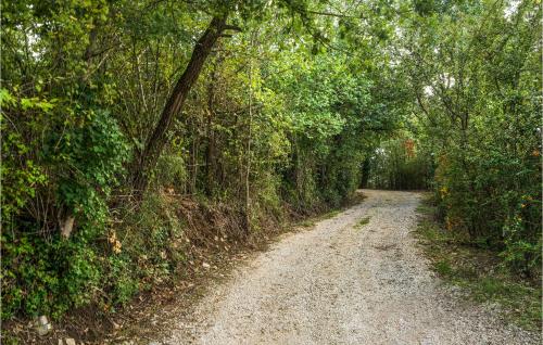 a dirt road in the middle of a forest at 2 Bedroom Lovely Home In Massa Martana in Massa Martana