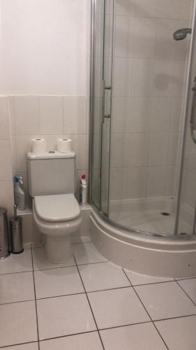 a white bathroom with a toilet and a shower at Lovely 2 bedroom 2 baths flat with free parking in Basingstoke