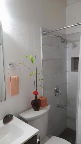 a bathroom with a toilet with a plant on top of it at Neita's Nest in Kingston