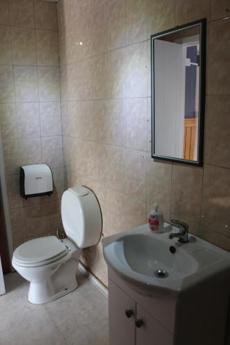 a bathroom with a toilet and a sink and a mirror at Hostal Ochen in Punta Arenas
