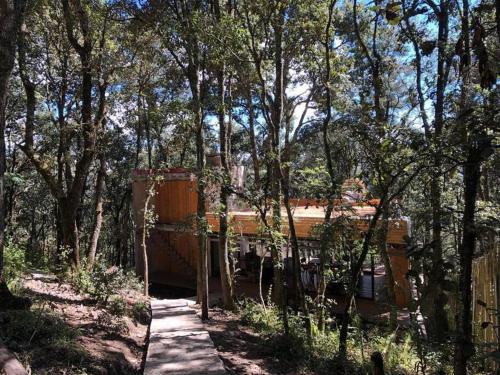 a house in the middle of a forest of trees at Chalet nordico enmedio del bosque in Mineral del Monte