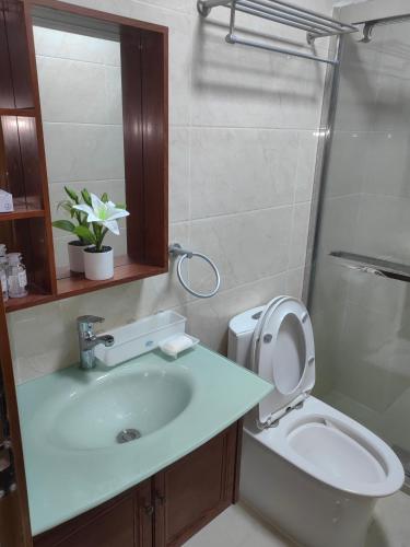 a bathroom with a sink and a toilet at Salcedo's Units in Baguio