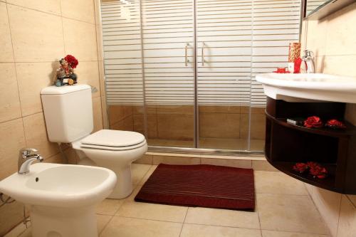 y baño con aseo, ducha y lavamanos. en Hisham Hotel, en Amán