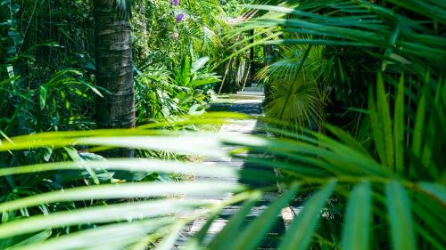 a path through a lush green forest with palm trees at ONAYA Bali Resort - Adults Only in Uluwatu