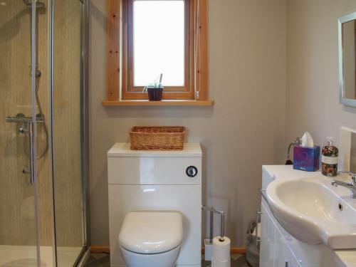 a bathroom with a toilet and a sink and a window at South Lodge in Great Moulton