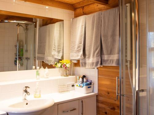 a bathroom with a sink and a shower at Cabin Hideaways, Glengoyne - Uk38363 in Mattishall