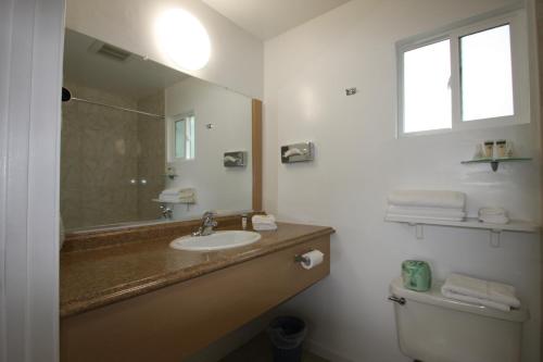 a bathroom with a sink and a mirror and a toilet at Redwood Inn in Santa Rosa