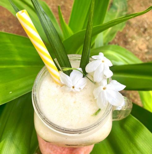 a glass jar filled with a drink with white flowers at Inti hostel in Pushkar