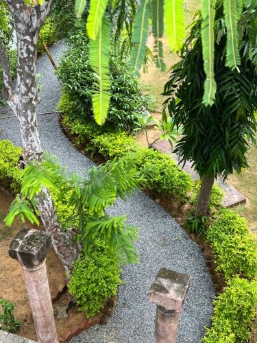 a garden with rocks and plants and a tree at Inti hostel in Pushkar