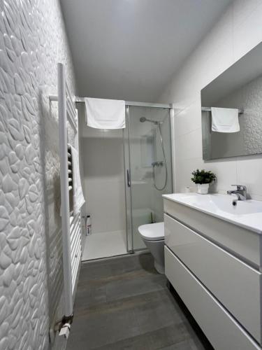 a bathroom with a shower and a toilet and a sink at Apartamento Villamediana Suite in Villamediana de Iregua