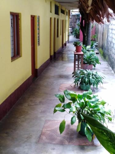 an empty corridor of a building with plants at Casa Mafaldo in Iquitos