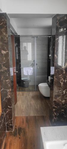 a bathroom with a shower and a toilet and a sink at Tito's Homestay in Kalimpong