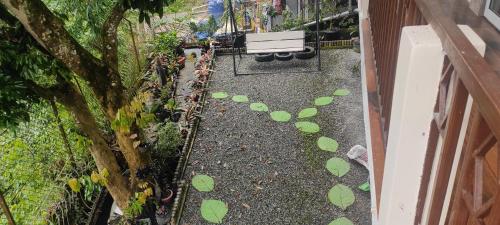 a bench sitting in a garden with green leaves on the ground at Tito's Homestay in Kalimpong
