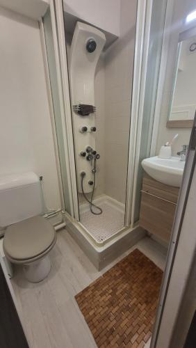 a bathroom with a shower and a toilet and a sink at Studio Princesse Galitzine in Cauterets