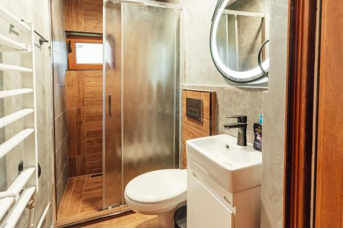 a bathroom with a toilet and a sink and a mirror at Guest house Anna-Maria in Velingrad