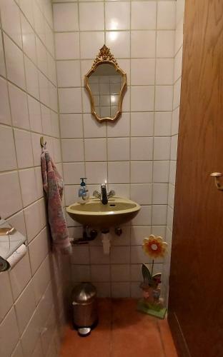 a bathroom with a sink and a mirror at Ruhig gelegene Ferienwohnung im Grünen mit Terrasse und kleinem Garten in Rotthalmünster