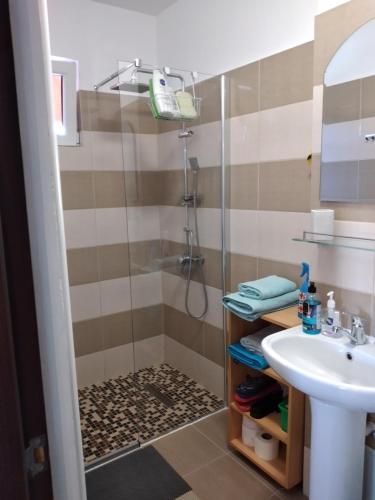 a bathroom with a shower and a sink at ZORILOR IMOB in Braşov