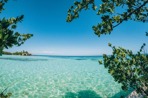 a view of the ocean from the shore of a beach at The Bilimbi Guesthouse & Inn in Huraa