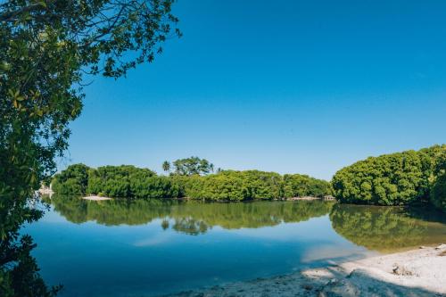 a view of a river with trees in the background at The Bilimbi Guesthouse & Inn in Huraa