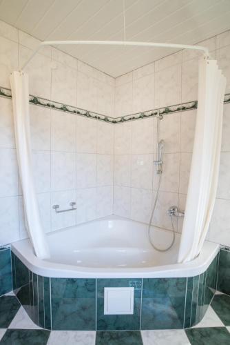 a bath tub in a bathroom with a shower at Penzion Mayer in Bled