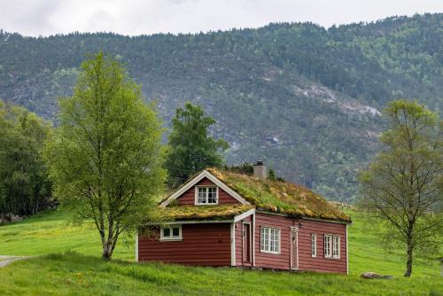 una casa con techo de césped en un campo verde en Fossane gard, en Hjelmeland