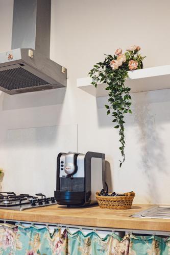 a coffee maker sitting on a counter in a kitchen at Agriturismo Montevecchio Isolani in Monte San Pietro