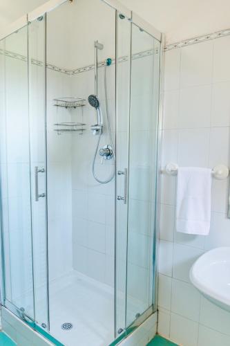 a glass shower in a bathroom with a sink at Agriturismo Montevecchio Isolani in Monte San Pietro