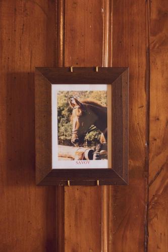 a picture of a donkey hanging on a wall at Agriturismo Montevecchio Isolani in Monte San Pietro