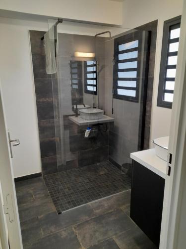 a bathroom with a shower and a sink and a mirror at Chambre avec salle de bain, WC et terrasse in Étang-Salé