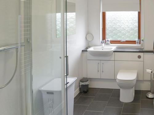 a white bathroom with a toilet and a sink at Cluaran Cottage in Tain