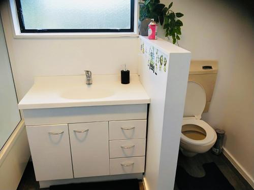 a bathroom with a sink and a toilet at Trentham Gem in Upper Hutt