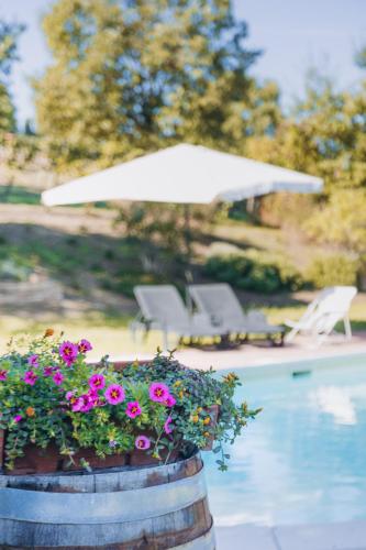 a barrel with flowers and an umbrella next to a pool at Agriturismo Montevecchio Isolani in Monte San Pietro
