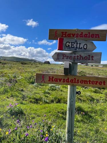 a street sign in a field with signs on it at Seterhytte i Havsdalen in Geilo