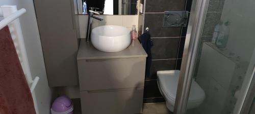 une petite salle de bain avec un lavabo et des toilettes dans l'établissement Appartement cosy en bord de mer, à Six-Fours-les-Plages