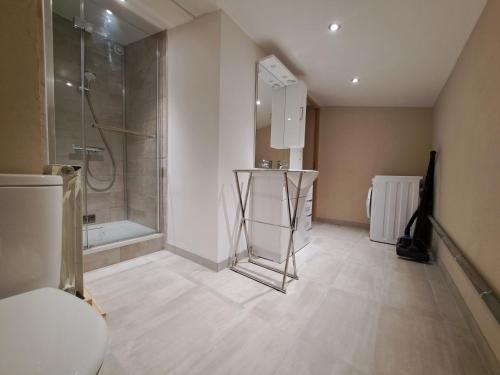uma grande casa de banho com um chuveiro e um lavatório em Aillon Evasion 12 em La Correrie