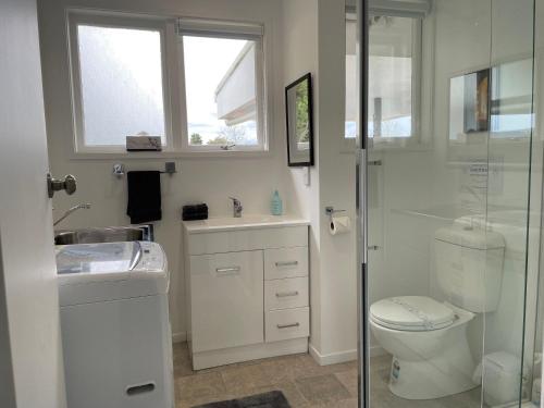 a bathroom with a shower and a toilet and a sink at Superior Cottage - St Enoch and St Elijah Monastery in Kaikohe
