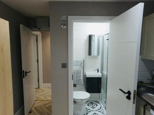 een badkamer met een toilet en een wastafel bij Cozzy in Londen