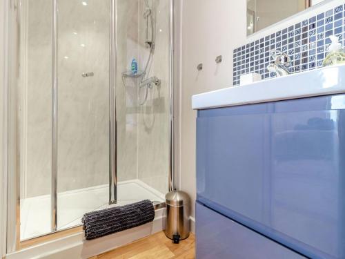 ein Badezimmer mit einer Dusche und einem blauen Schrank in der Unterkunft The Workshop in Garway