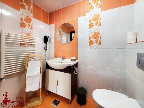a bathroom with a sink and a mirror at Vila Dorobantilor in Cluj-Napoca