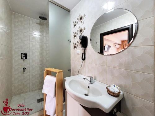 a bathroom with a sink and a mirror on the wall at Vila Dorobantilor in Cluj-Napoca