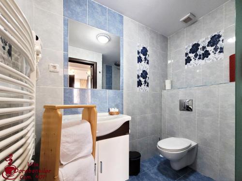a bathroom with a toilet and a sink at Vila Dorobantilor in Cluj-Napoca