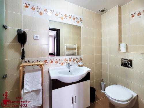 a bathroom with a sink and a toilet and a mirror at Vila Dorobantilor in Cluj-Napoca