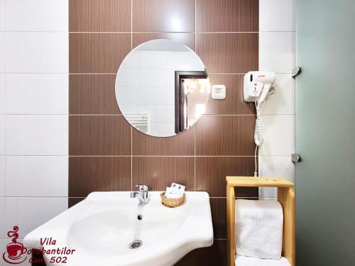 a bathroom with a sink and a mirror at Vila Dorobantilor in Cluj-Napoca